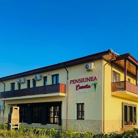 Pensiunea Camelia Baia Exterior photo