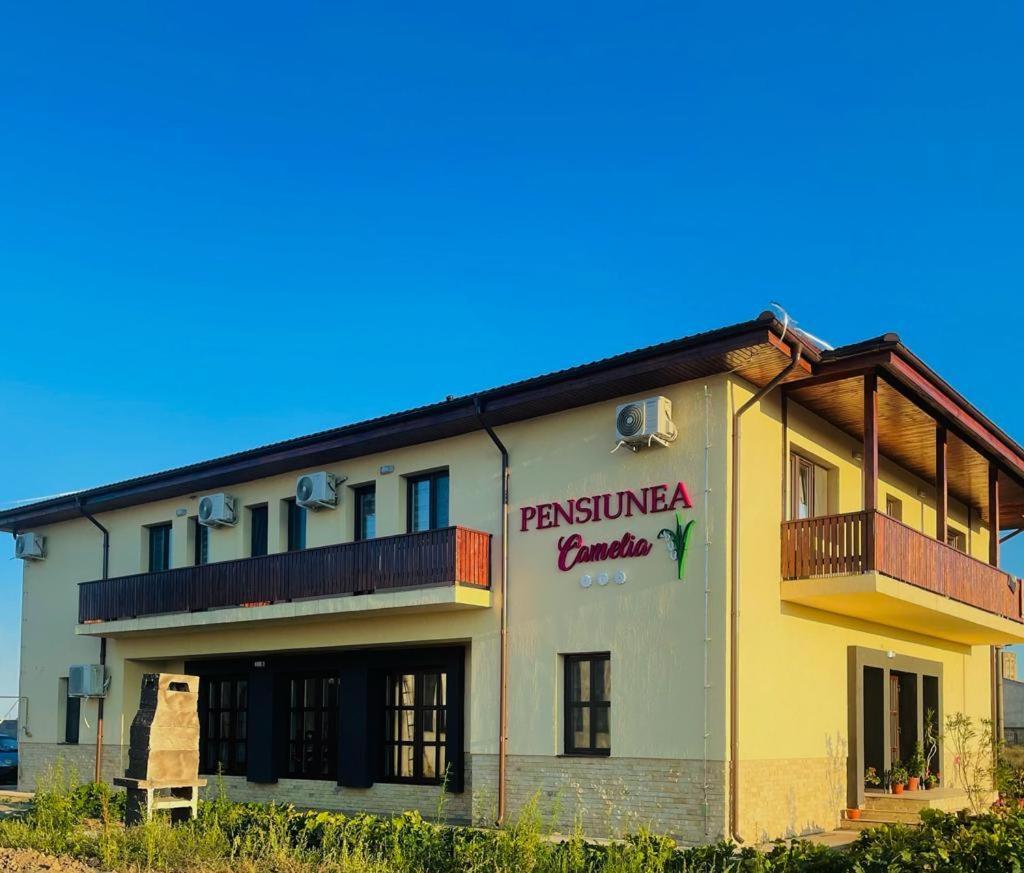 Pensiunea Camelia Baia Exterior photo