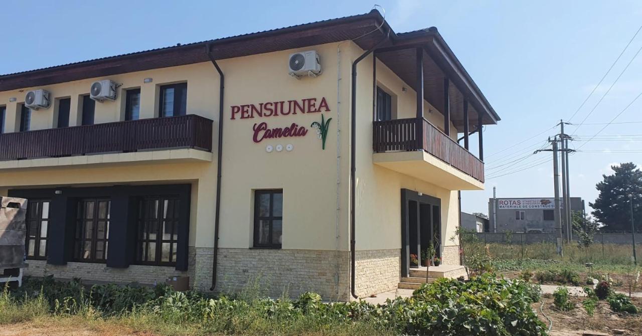 Pensiunea Camelia Baia Exterior photo