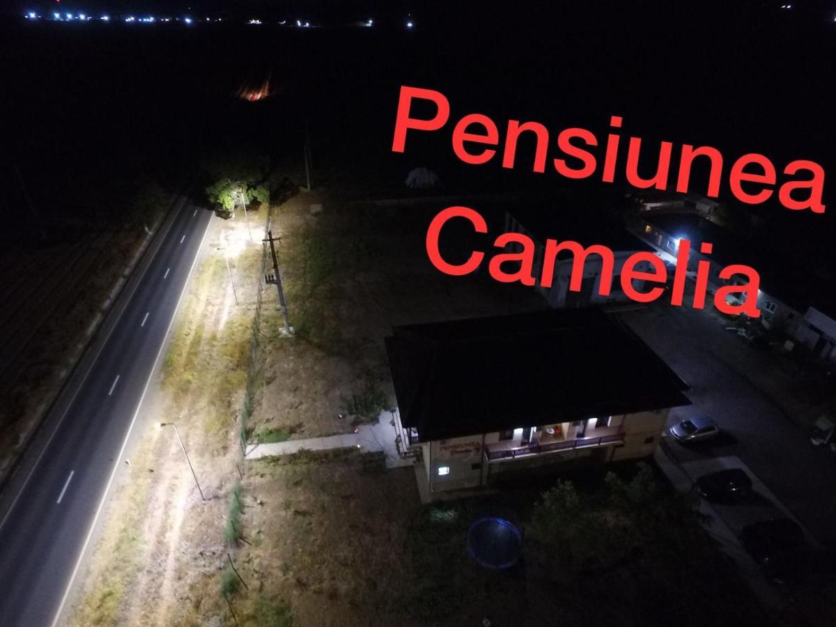Pensiunea Camelia Baia Exterior photo