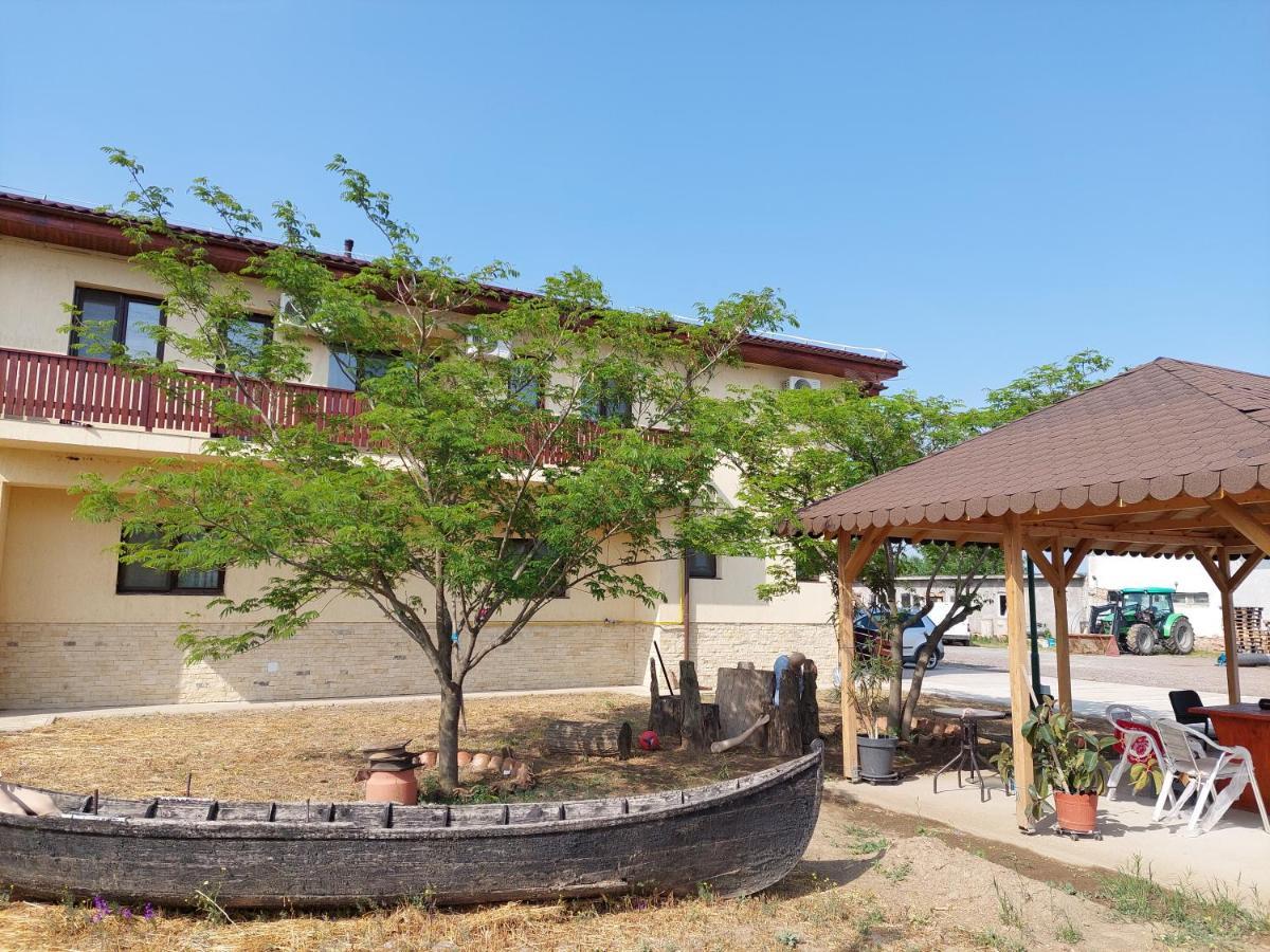 Pensiunea Camelia Baia Exterior photo